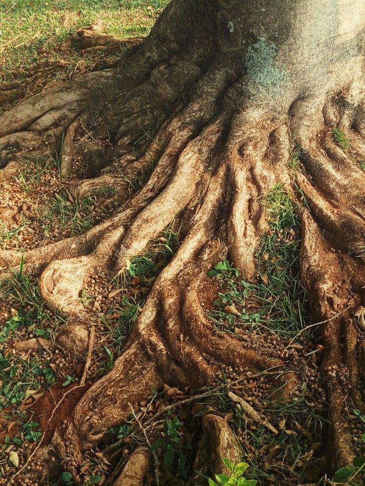 Spiritual Consultation (PAID)