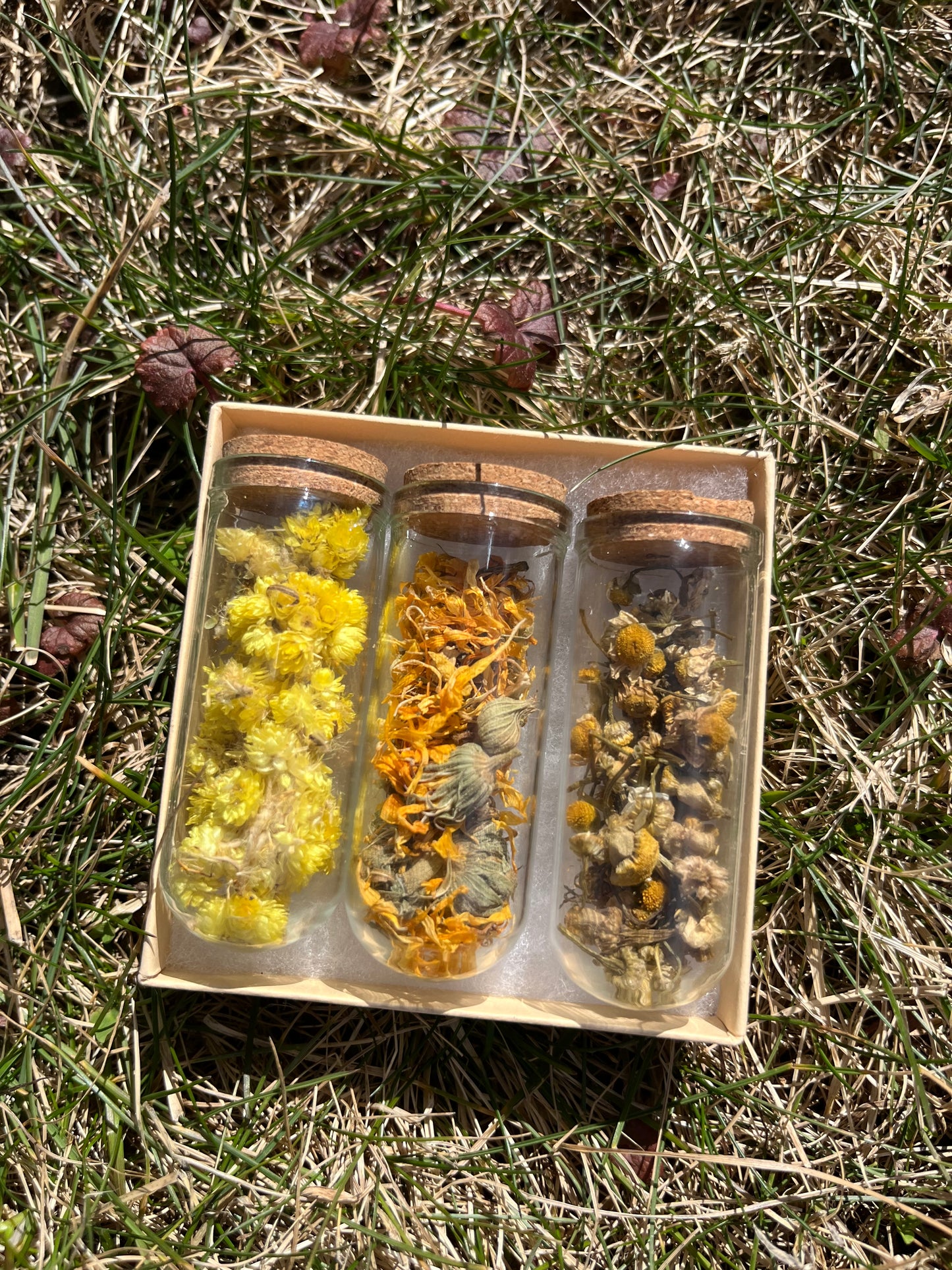 Daughter of the Sun Herbal Trio