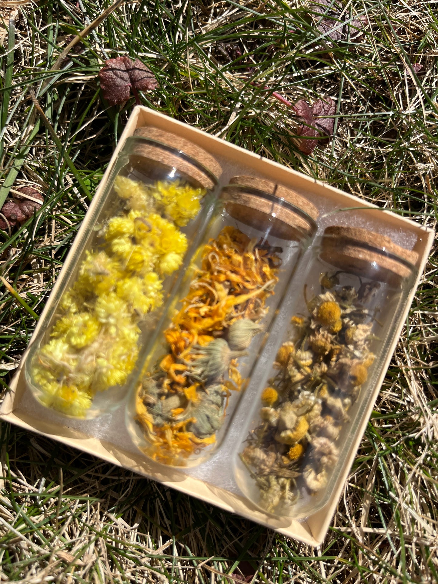 Daughter of the Sun Herbal Trio