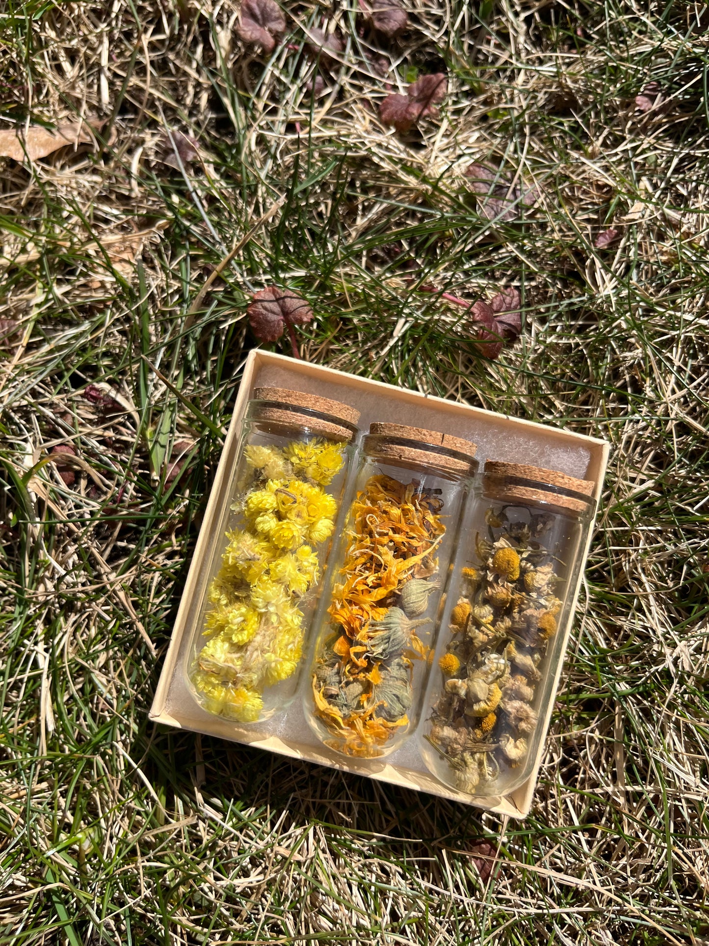 Daughter of the Sun Herbal Trio