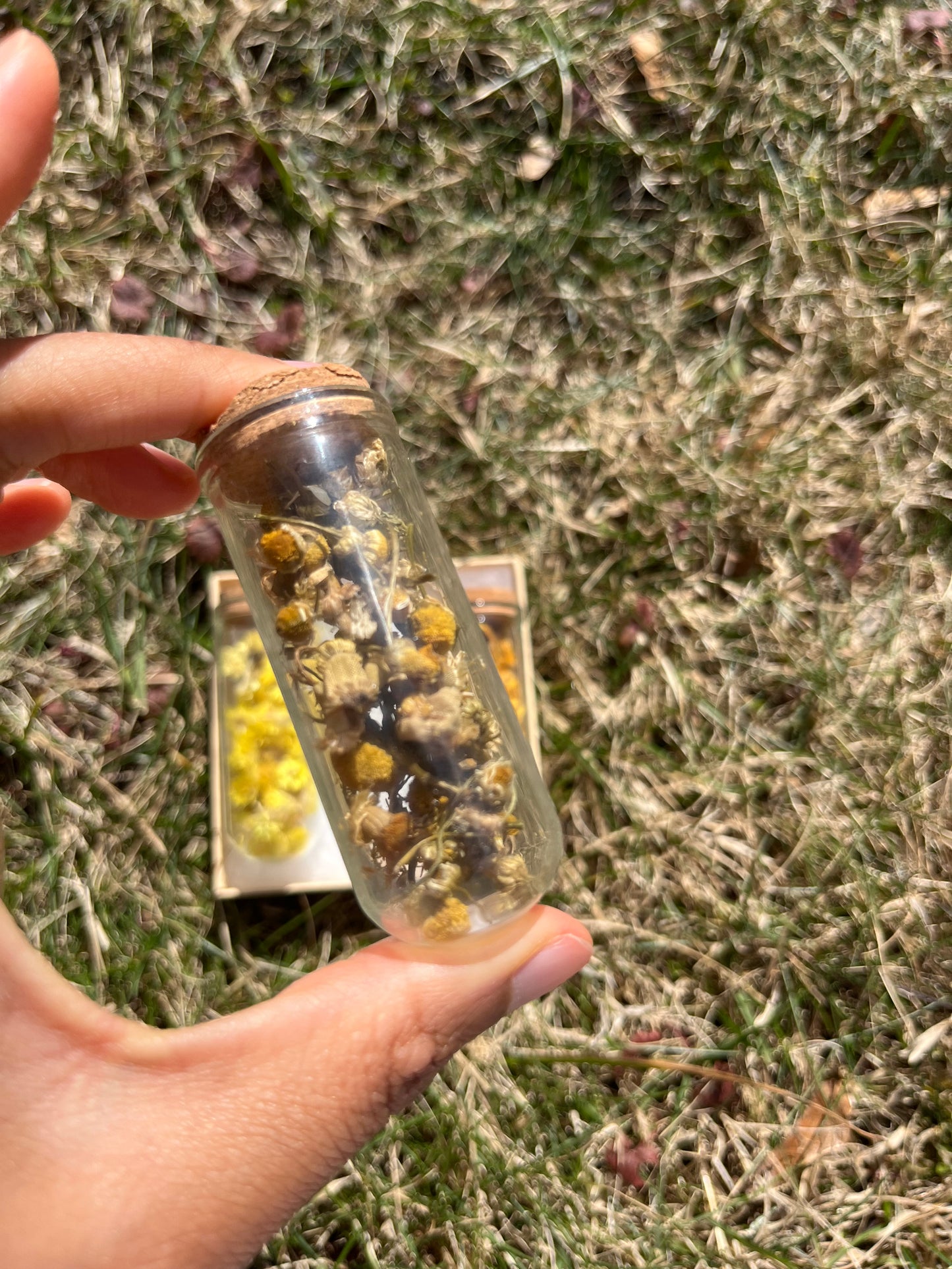 Daughter of the Sun Herbal Trio